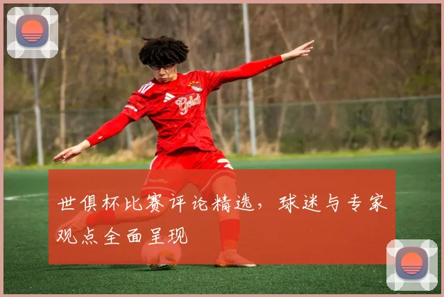 世俱杯比赛评论精选，球迷与专家观点全面呈现
